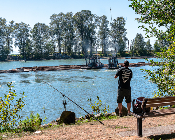 Image shows a man fishing on the banks of the Fraser River. In the background, two tugboats are steering a log boom downriver.