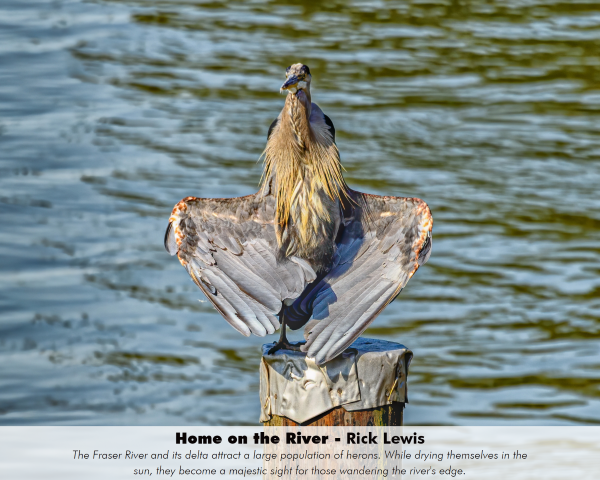 Home on the River_Rick Lewis