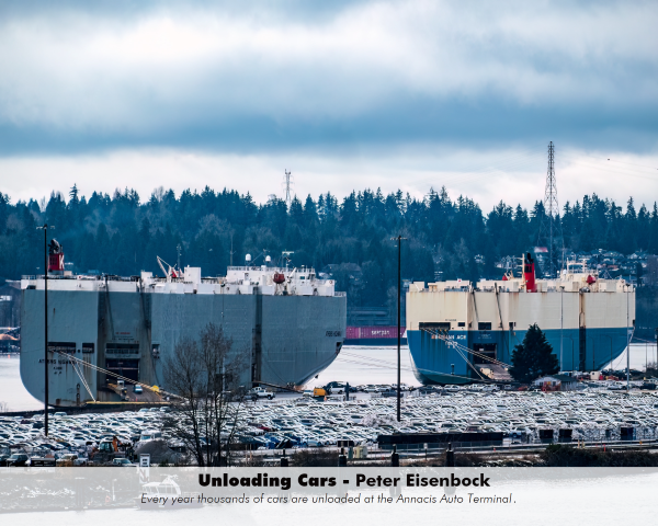 Unloading Cars_Peter Eisenbock