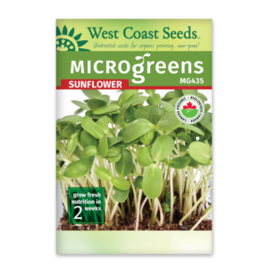 Microgreens Sunflower Organic