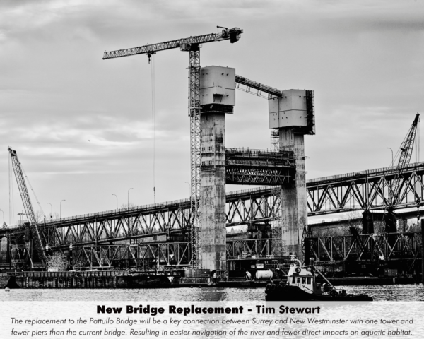 T Stewart - New Bridge replacement