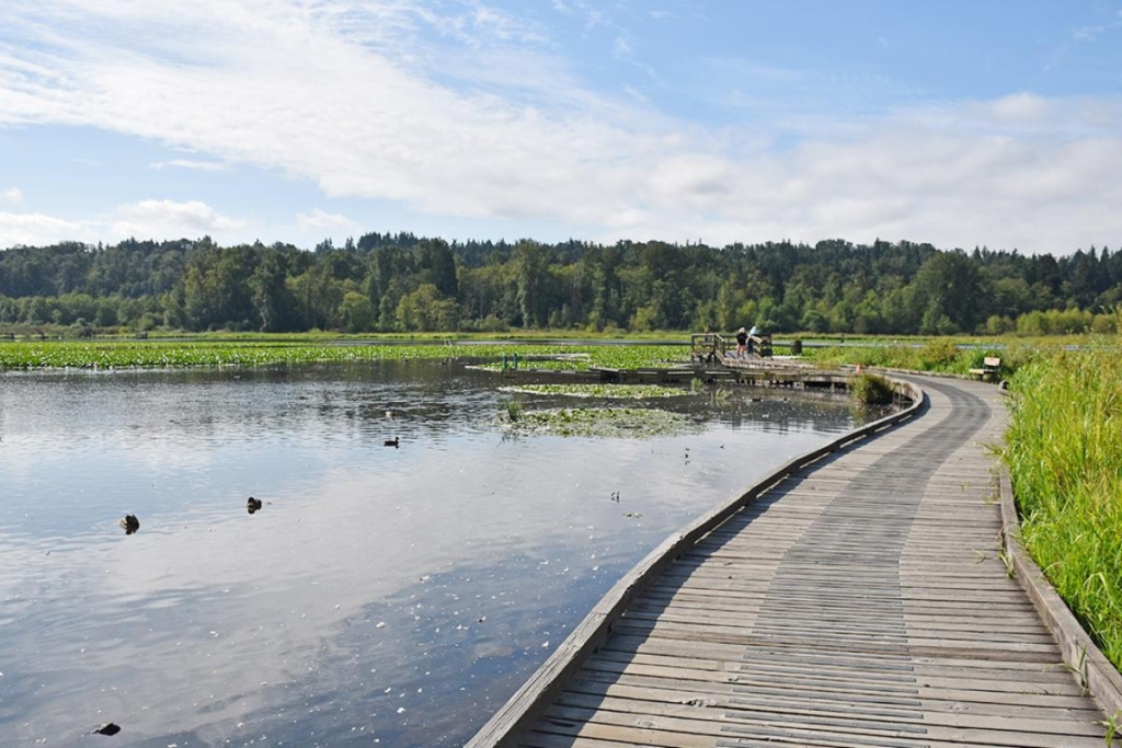 Photo of Burnaby Lake Regional Park.