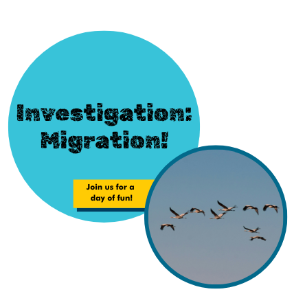 SuWe Webpage Graphic (1)