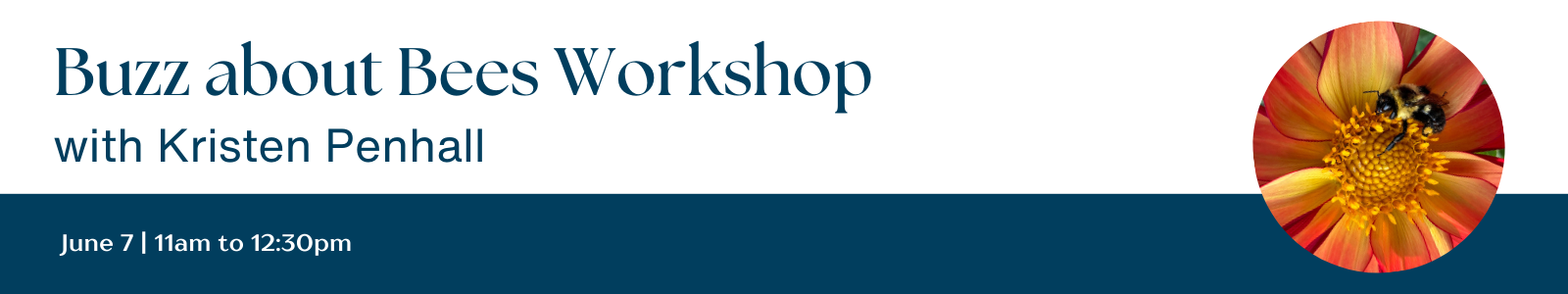 Adult Workshop Header 1600x300 (2)