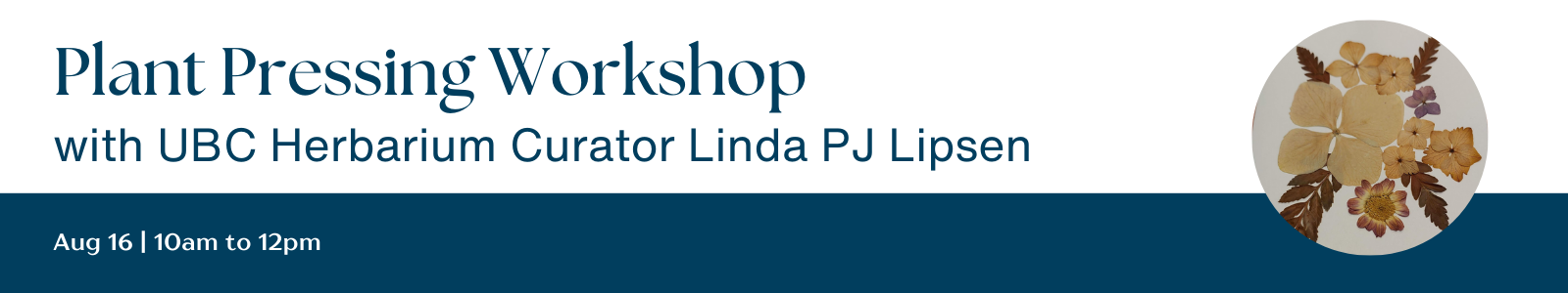 Adult workshop template_Website Header