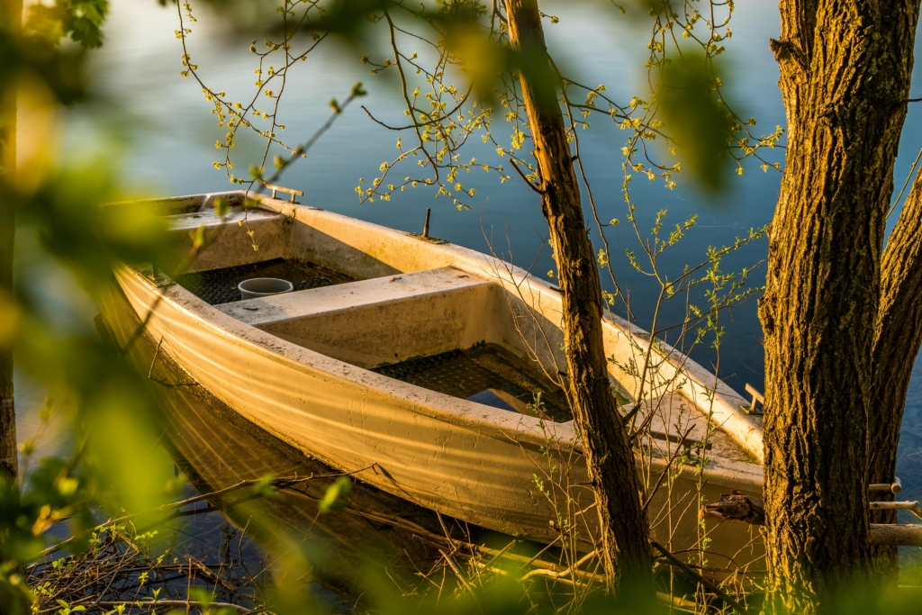 pexels-umkreisel-app-1039080