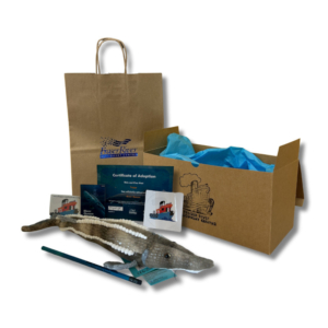 Adopt a Sturgeon (with plush and swag)