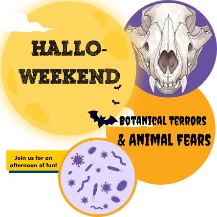 Halloween 2025 Webpage Graphic