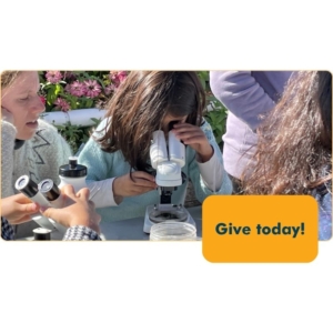 Enhance Learning Tools