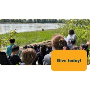 Sponsor Program Development