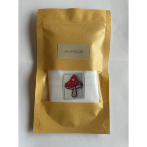 Beading kit - mushroom