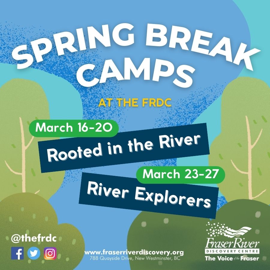Spring Break Camps 2026 Webpage Graphic