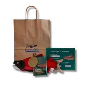 Adopt a Salmon (with plush)