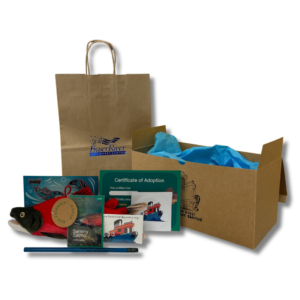 Adopt a Salmon (with plush and swag)