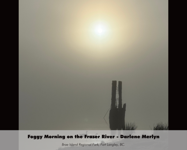 Darlene Merlyn_ - Foggy Morning on the Fraser River