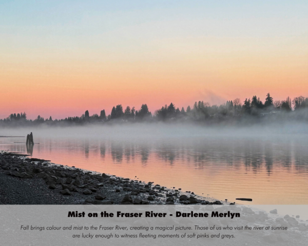 Darlene Merlyn_ - Mist on the Fraser River