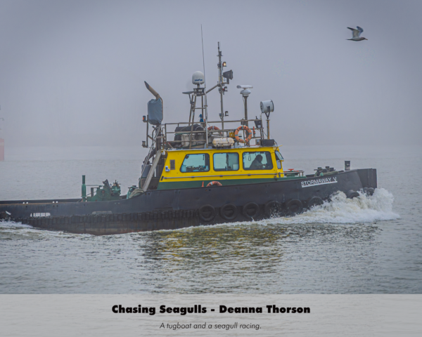 Deanna Thorson - Chasing Seagulls