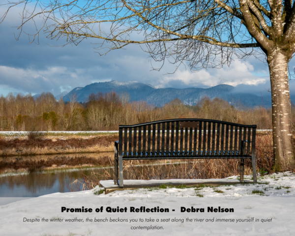 Debra Nelson - Promise of Quiet Reflection