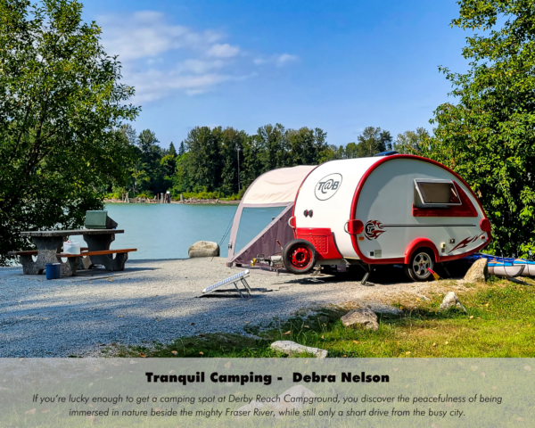 Debra Nelson - Tranquil Camping