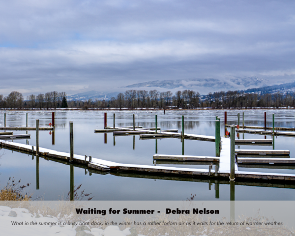 Debra Nelson - Waiting for Summer