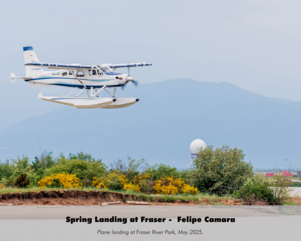 Felipe Camara - Spring Landing at Fraser