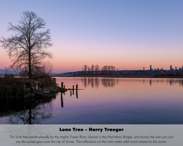 Harry Traeger - Lone Tree
