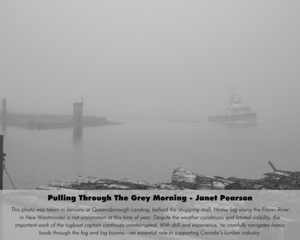 Janet Pearson - Pulling Through The Grey Morning