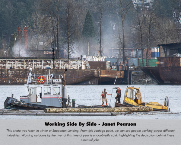 Janet Pearson - Working Side By Side