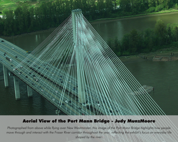 Judy MunzMoore - Aerial View of the Port Mann Bridge