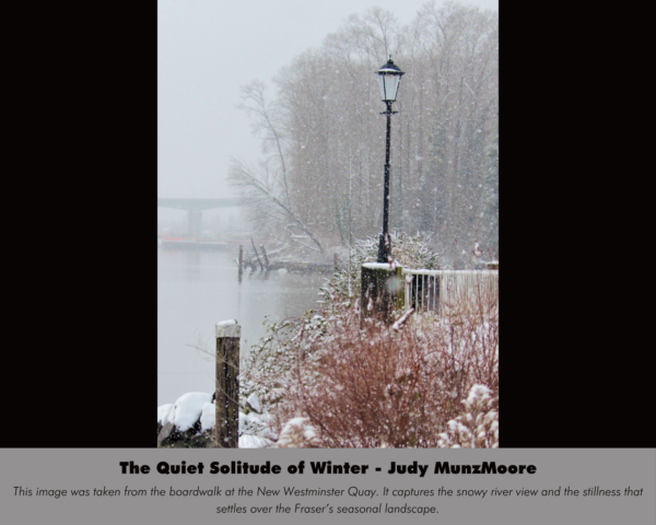 Judy MunzMoore - The Quiet Solitude of Winter