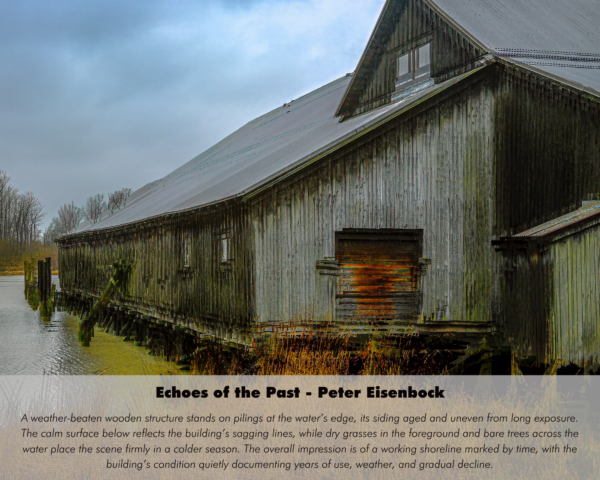 Peter Eisenbock - Echoes of the Past