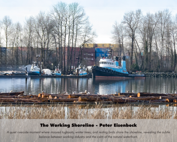Peter Eisenbock - The Working Shoreline