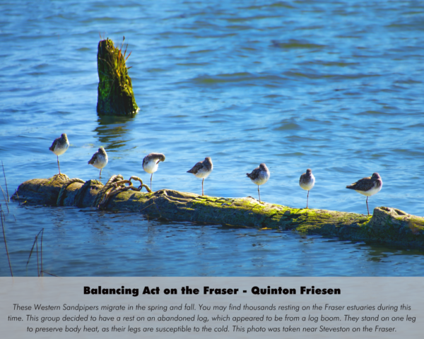 Quinton Friesen - Balancing Act on the Fraser