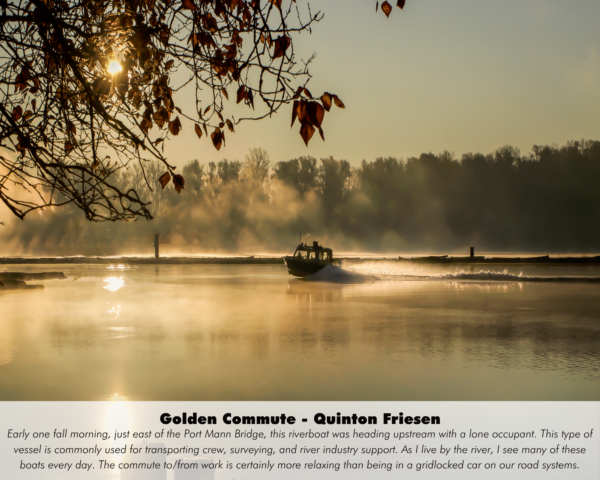 Quinton Friesen - Golden Commute