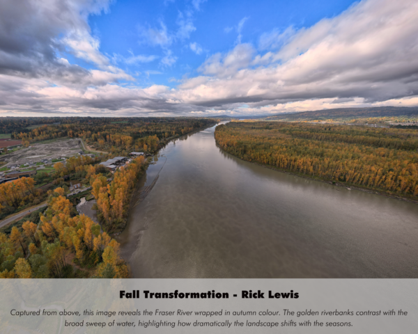Rick Lewis - Fall Transformation