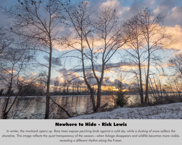 Rick Lewis - Nowhere to Hide