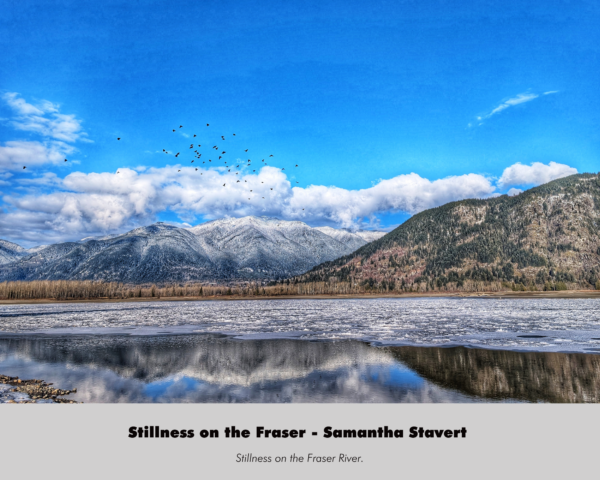 Samantha Stavert - Stillness on the Fraser