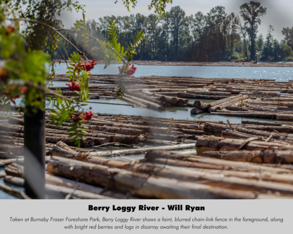 Will Ryan - Berry Loggy River