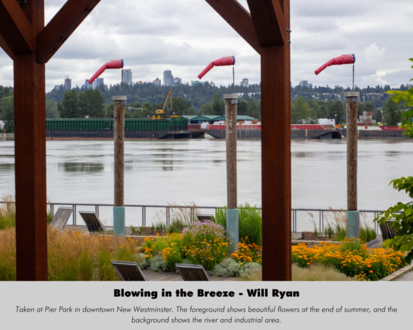Will Ryan - Blowing in the Breeze