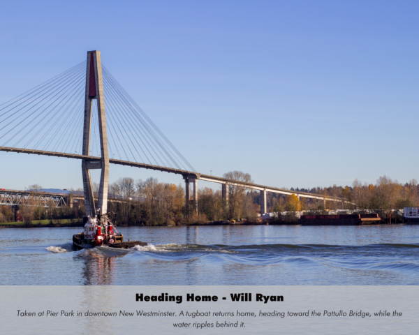 Will Ryan - Heading Home