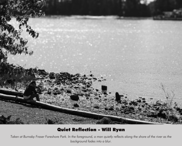 Will Ryan - Quiet Reflection