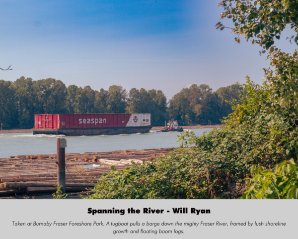 Will Ryan - Spanning the River
