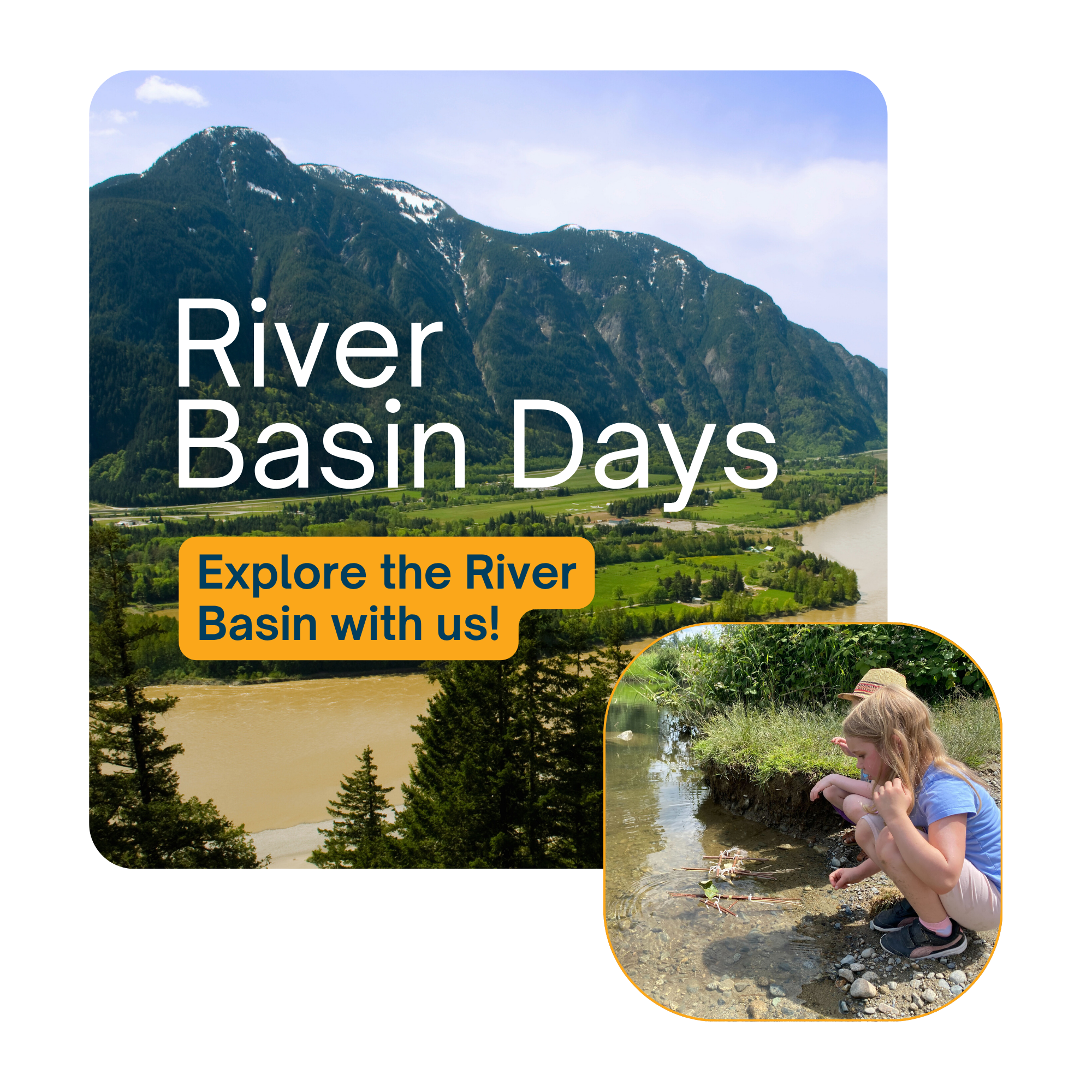 RBD_Webpage Graphic