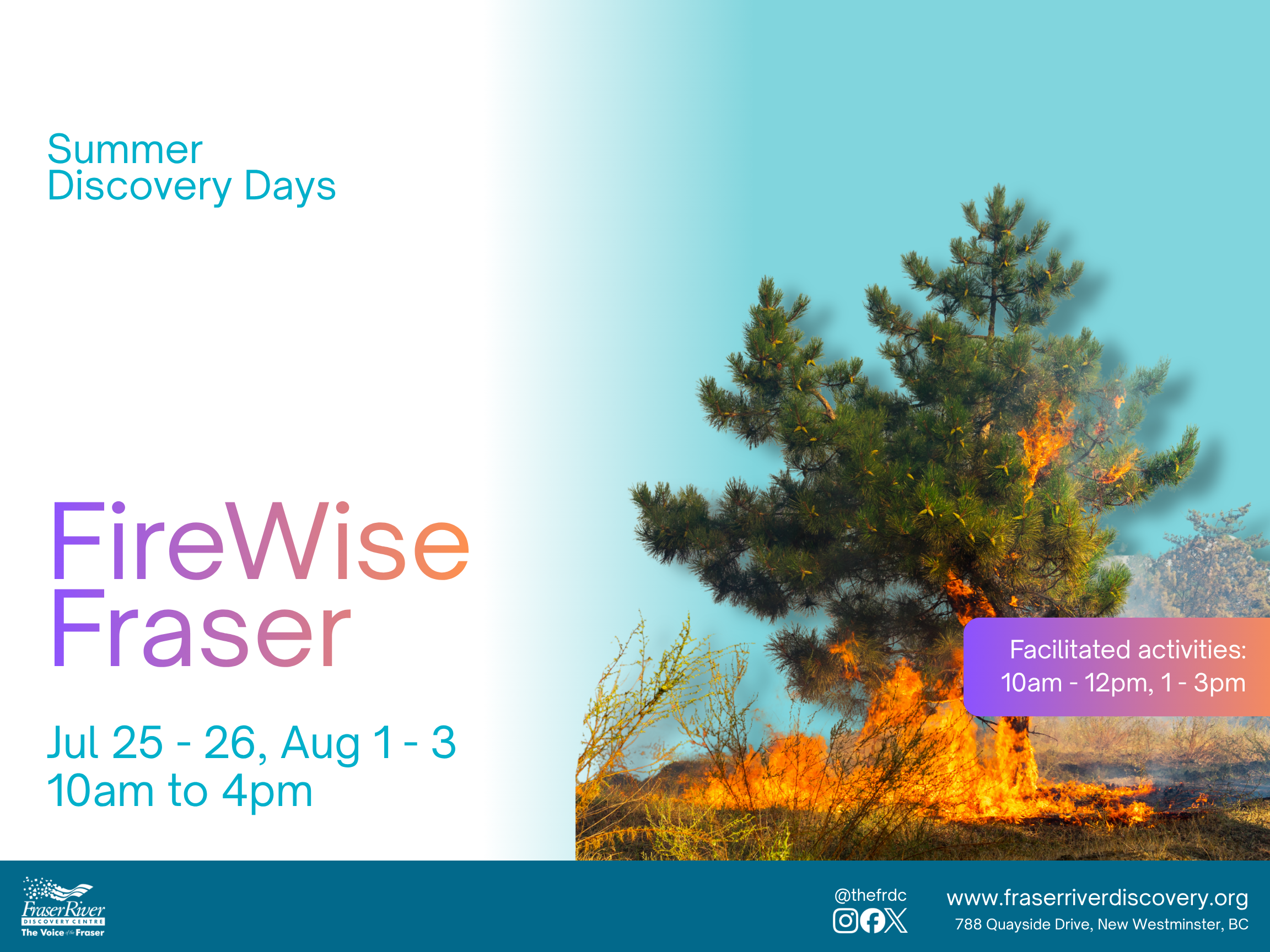 Summer Day Discoveries Web-Banner