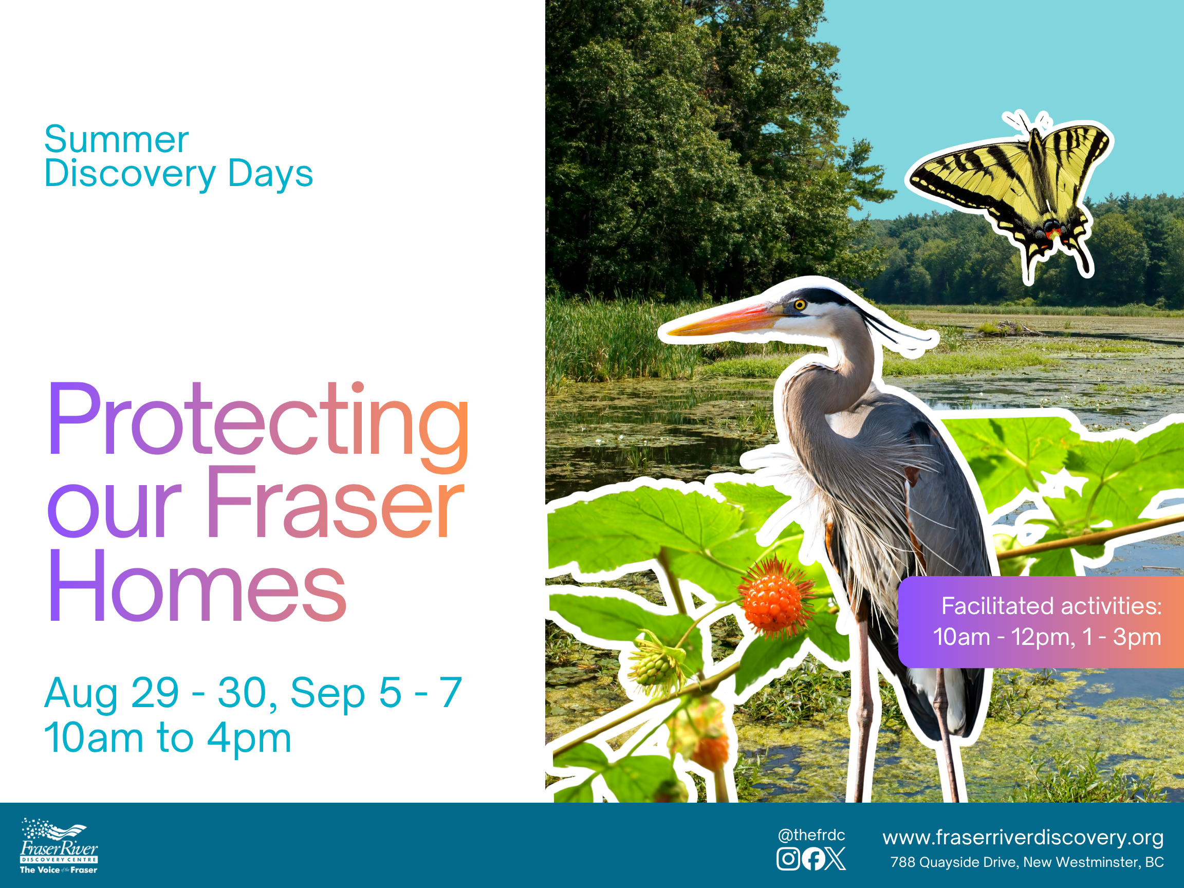 SuDD_Web-Banner