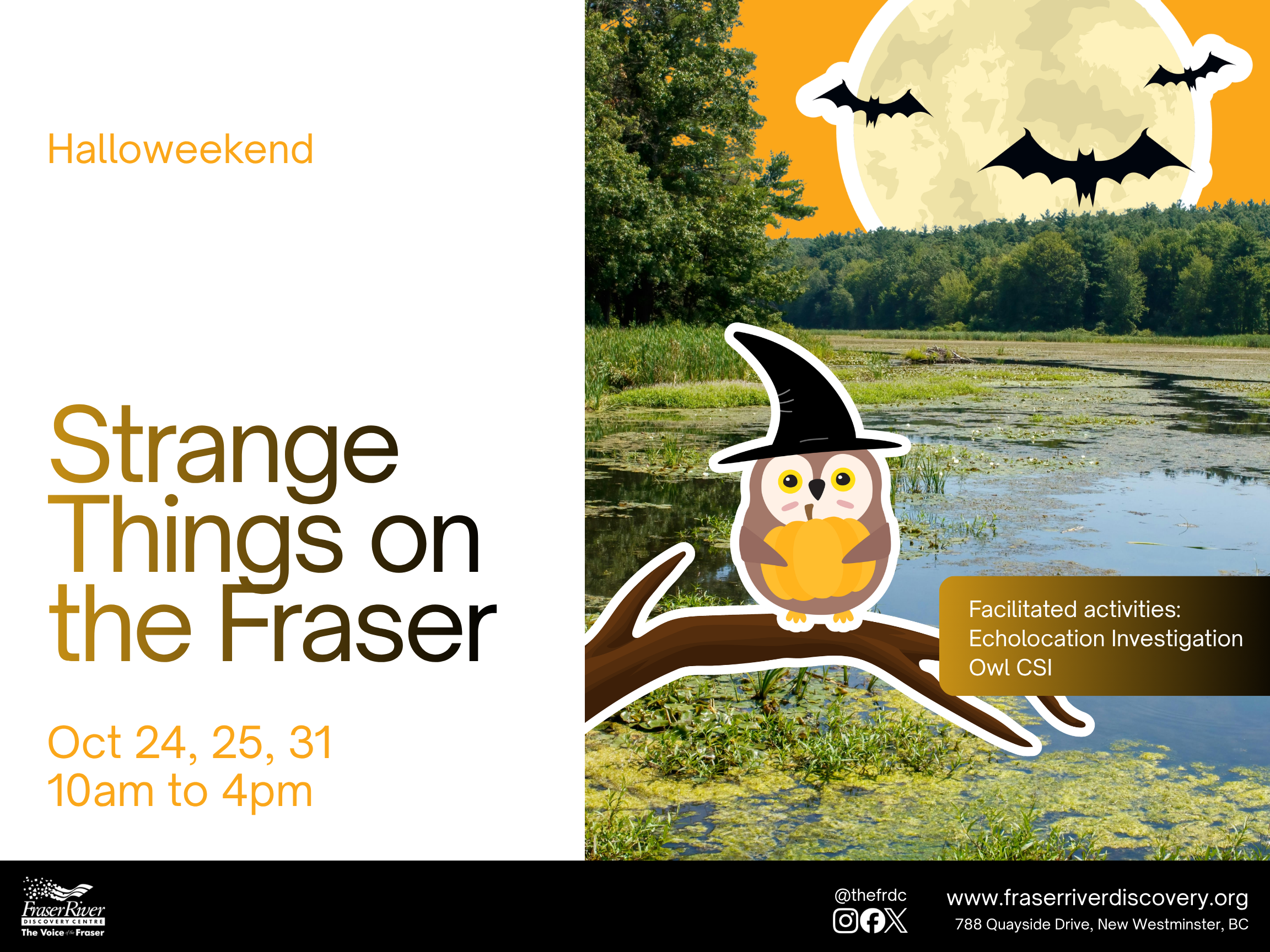 Halloweekend_Web-Banner